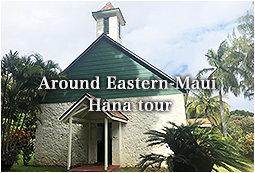 Around Eastern-Maui Hana tour