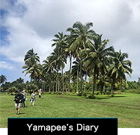 Yamapee's Diary